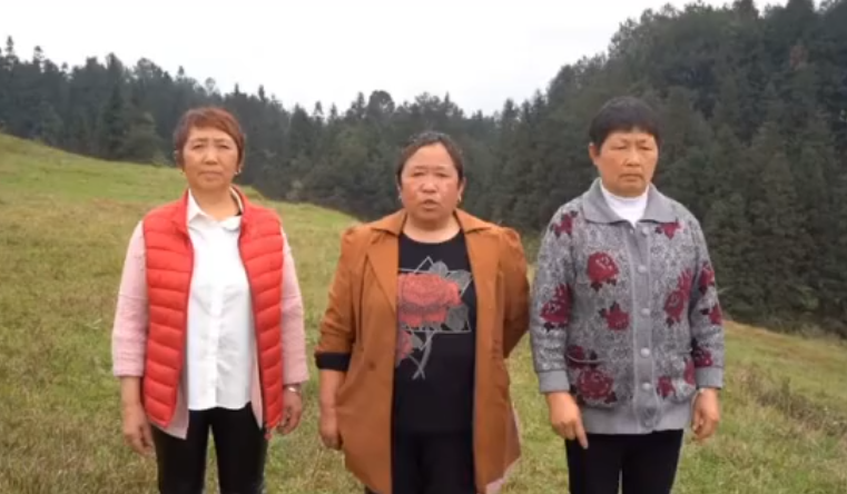 三支花图5