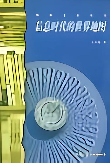 王小东图4