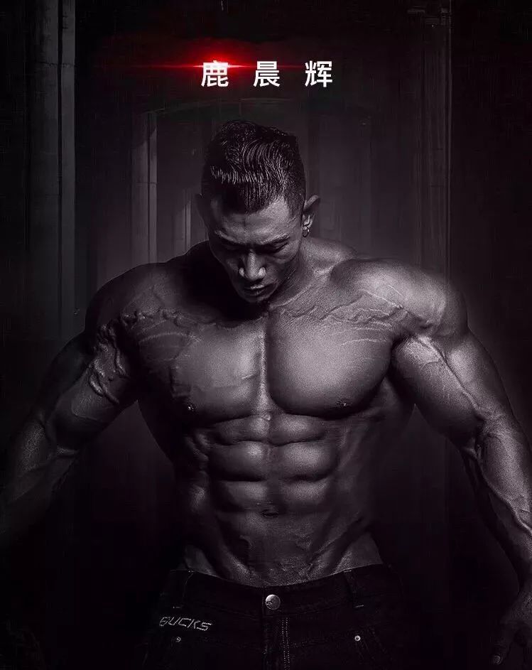 鹿晨辉图6