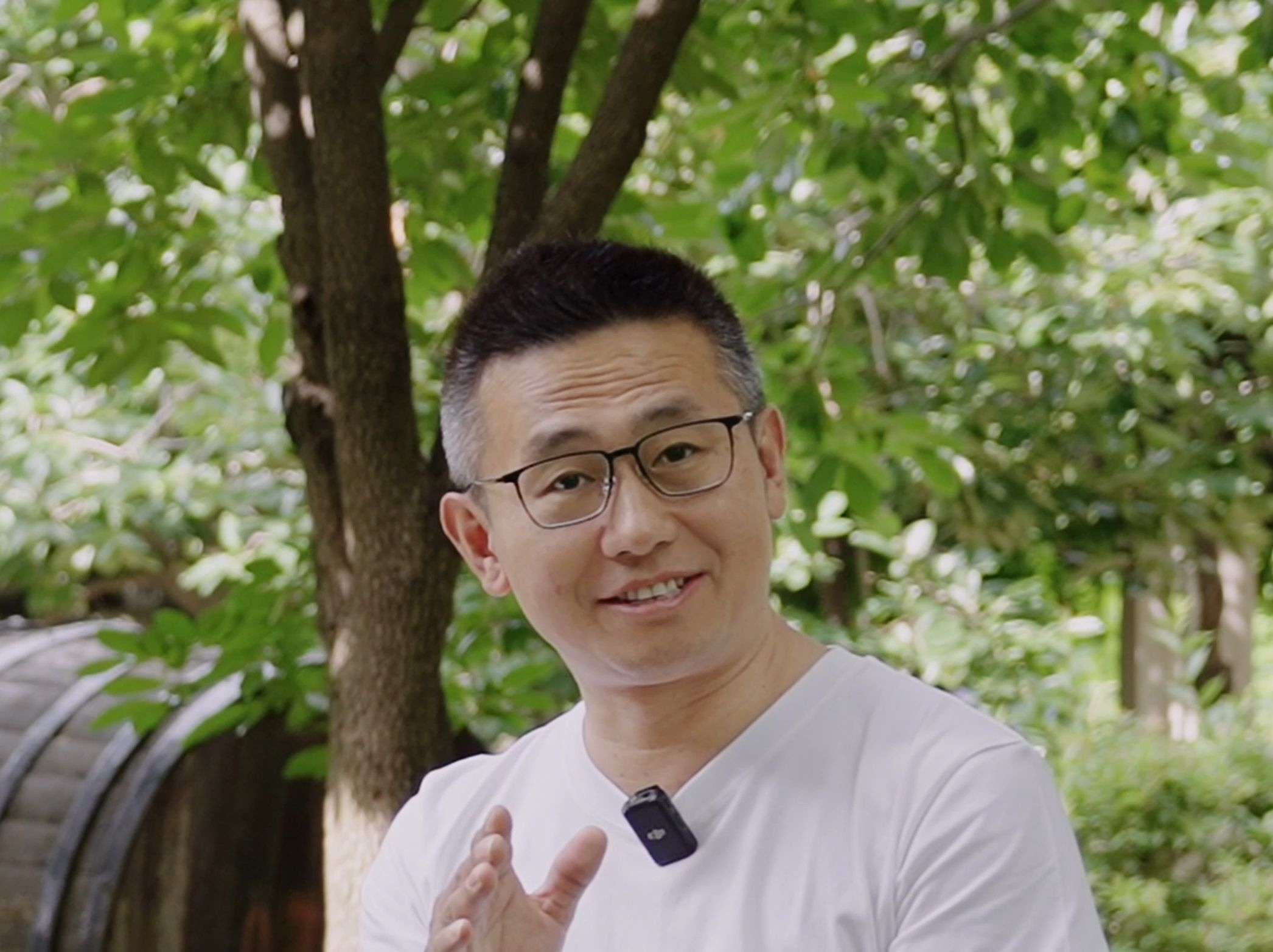 拉飞哥图2