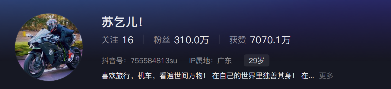苏乞儿图5