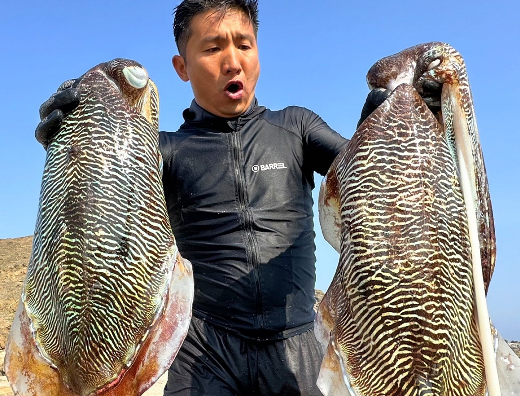 ok哥环球探海记图4