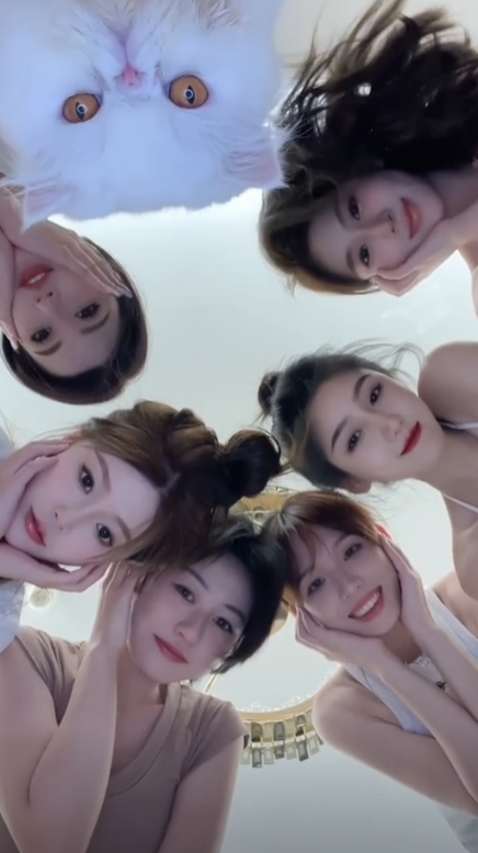 芭拉芭拉图2