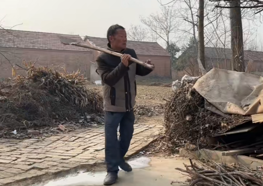 徐兵阳光家庭图6