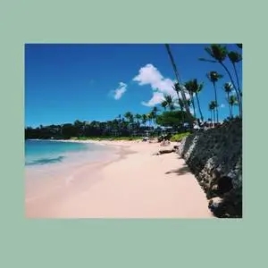 刘教授图4