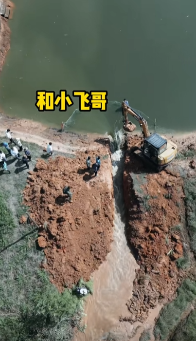 格小格图6