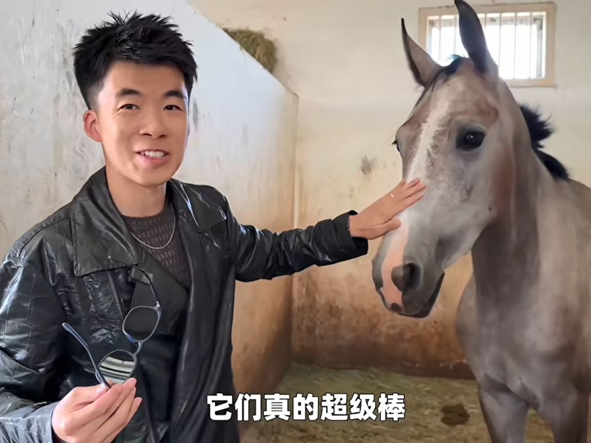 终极小腾图6