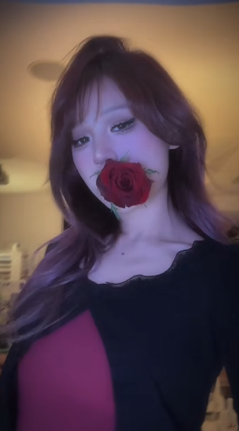 好平静的姐姐图5