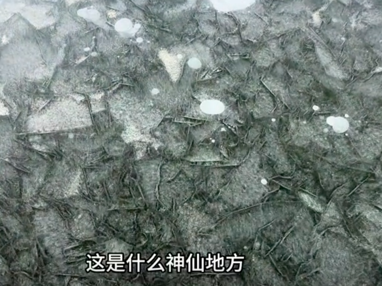 常乐兄弟图5