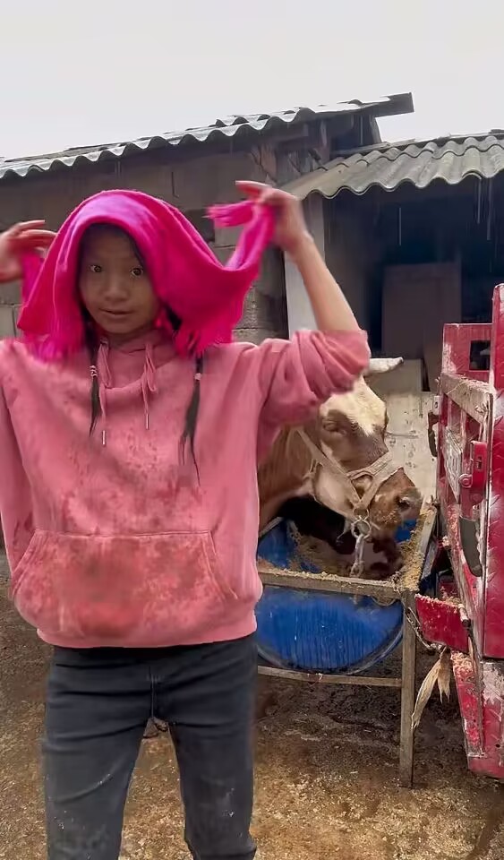 小英一家图3