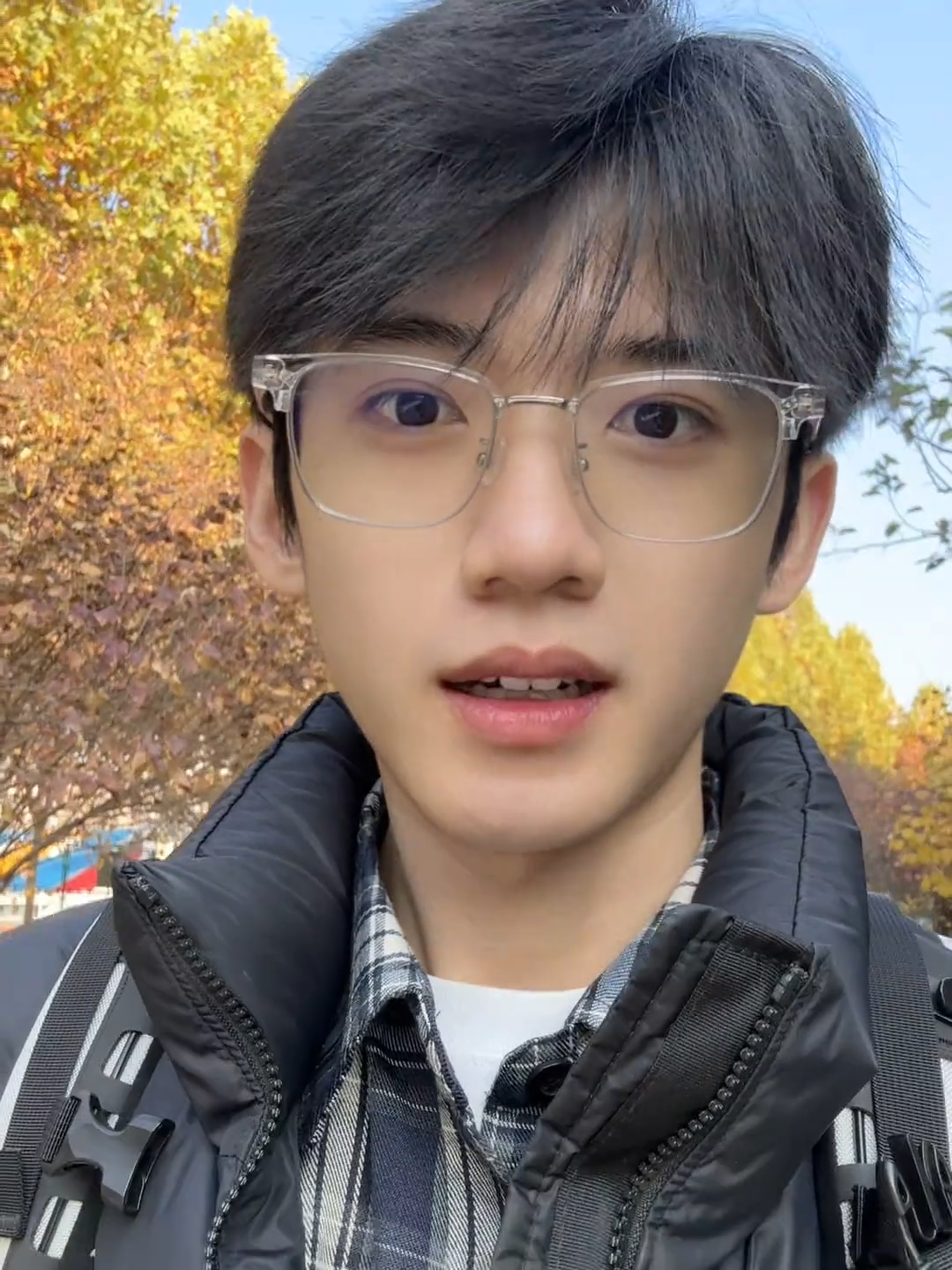 李歪歪图2