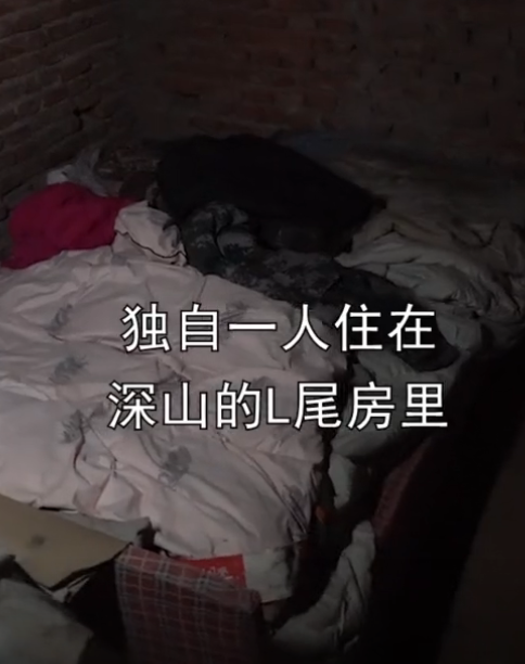 周老板的正事图3