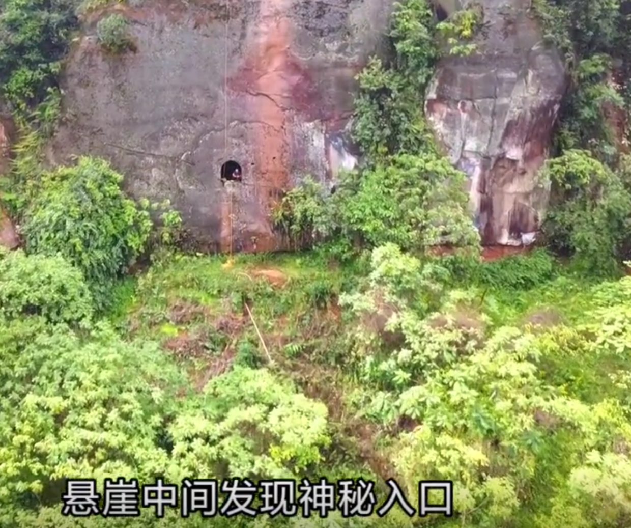 户外行军蚁图2