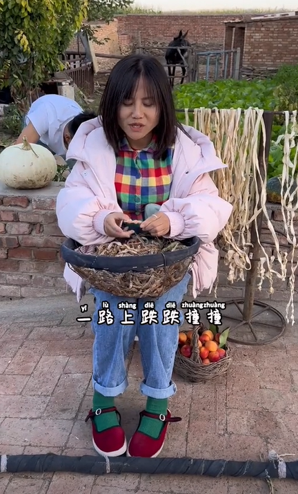 村花老赵婆子(323)
