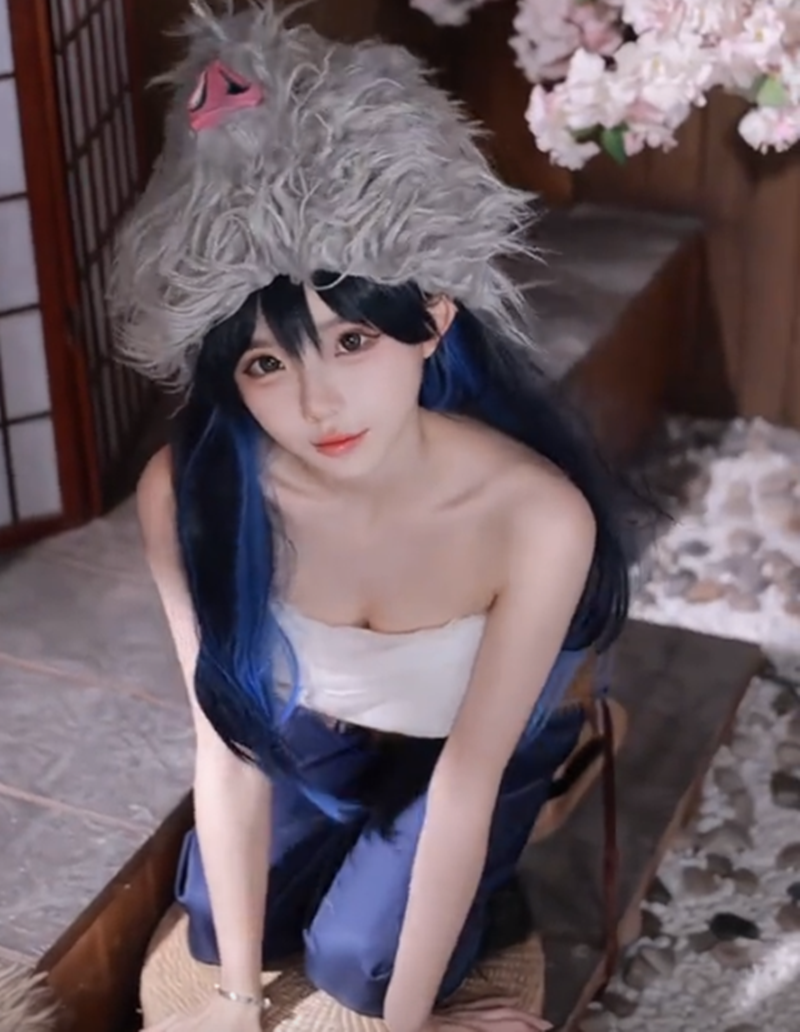 相扑猫图4