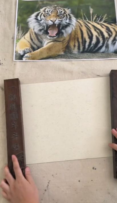 一条好龙图6