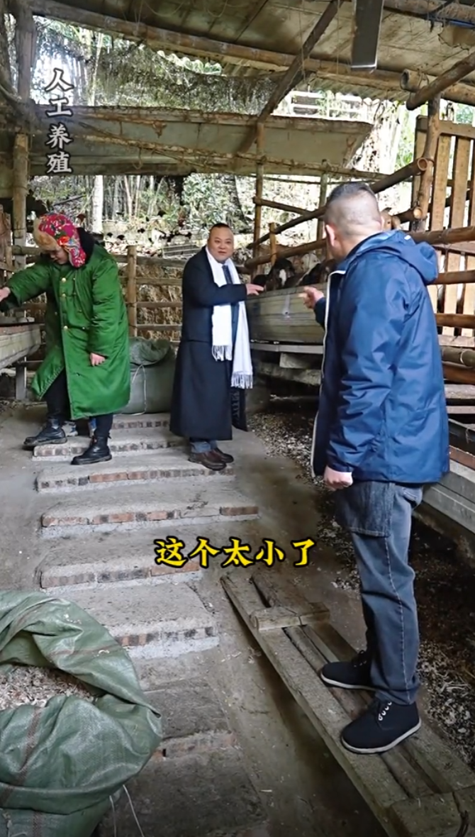 我是陈小七图5
