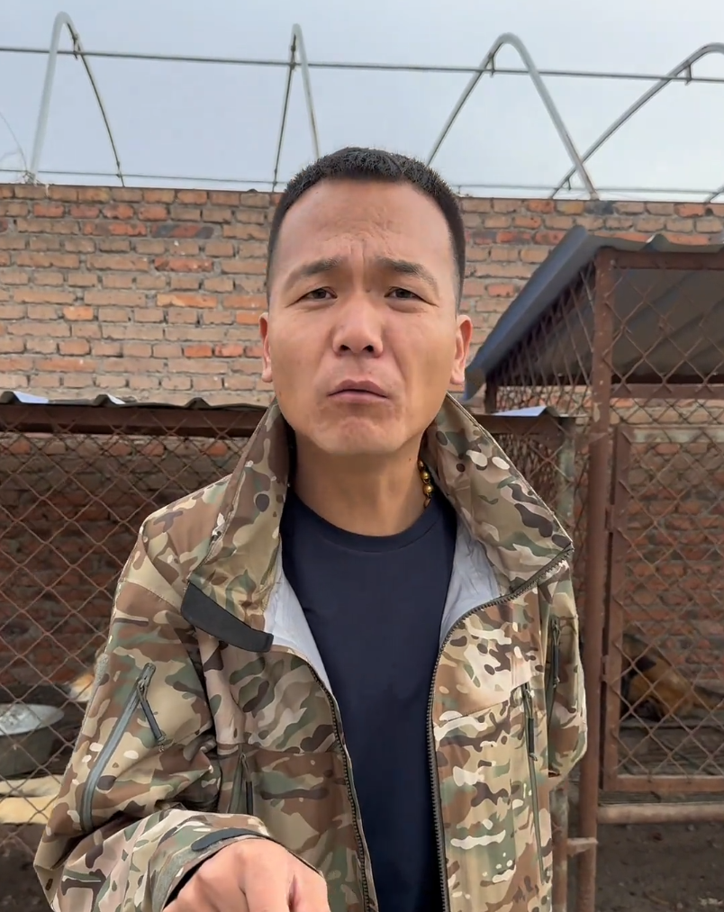 潘宏爱玩狗