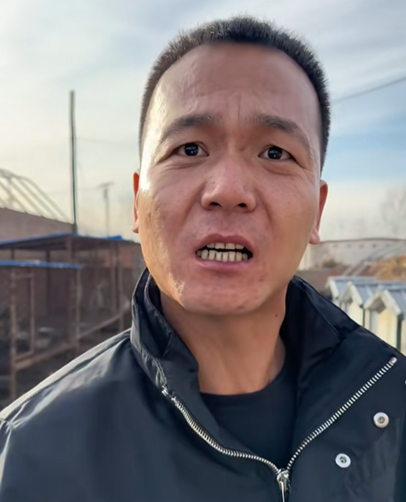 潘宏爱玩狗图3