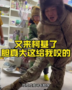 潘宏爱玩狗图5