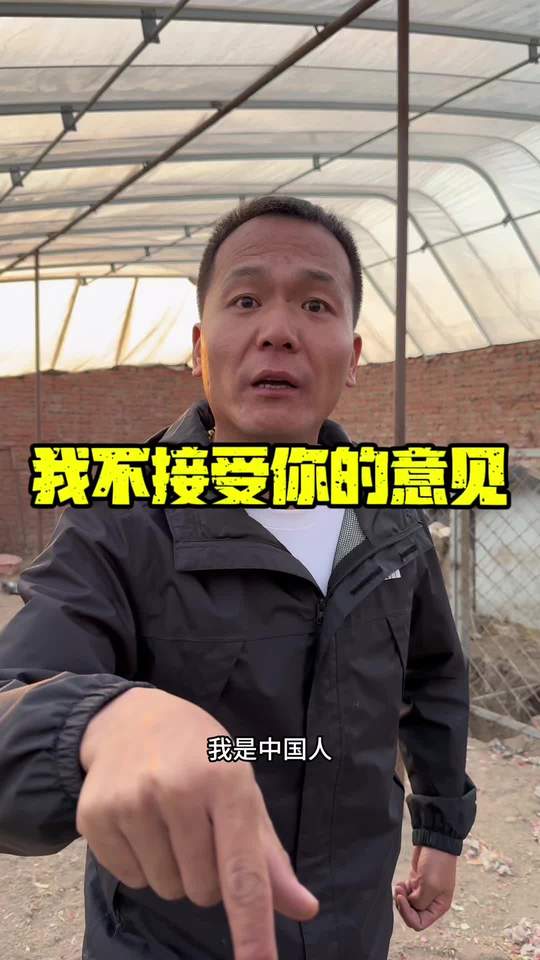 潘宏爱玩狗图6