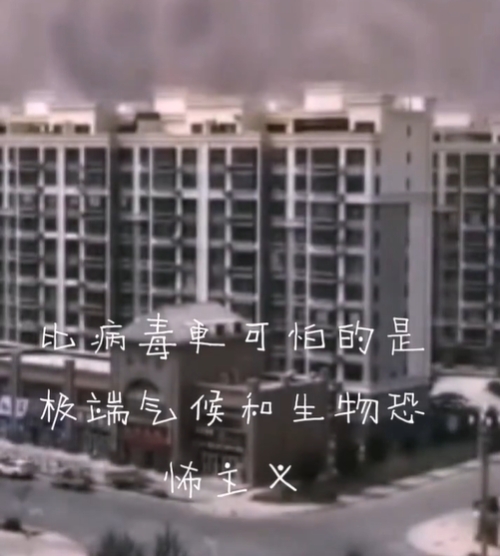 梁少图4