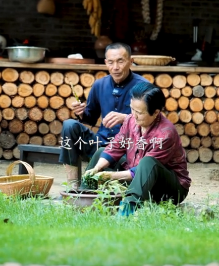 林成香图2