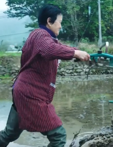 林成香图3
