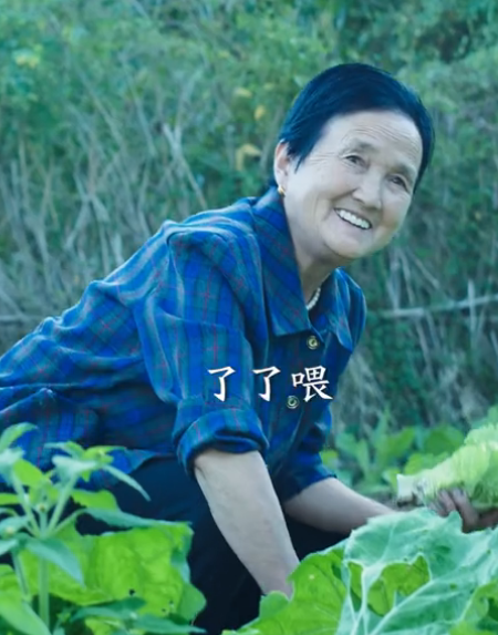 林成香图5