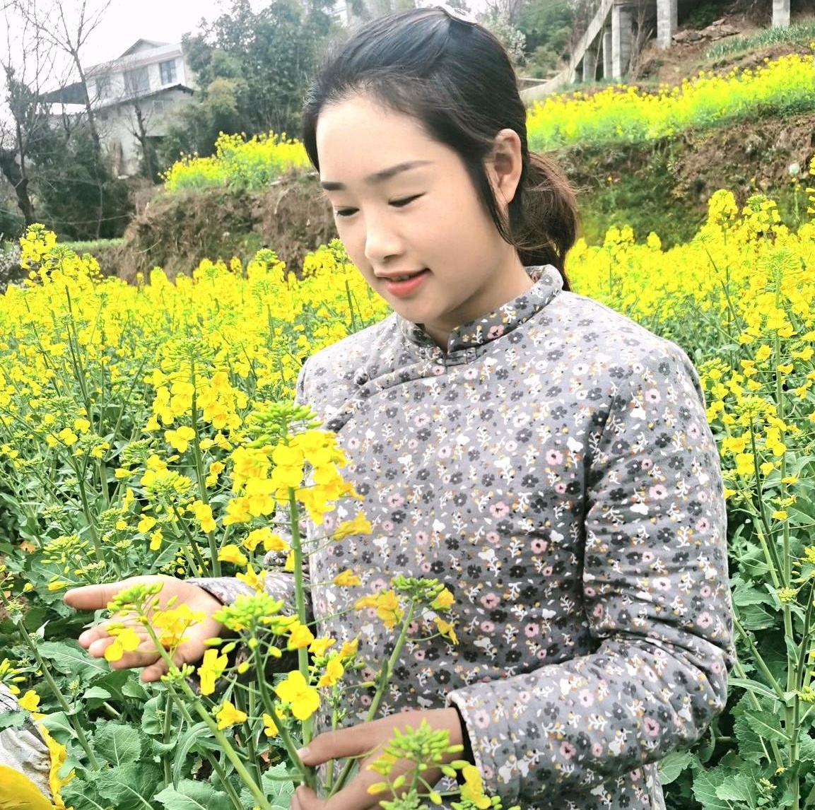 川味小夫妻双妹图3