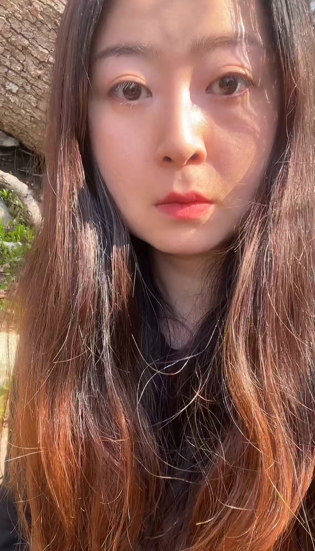 北欧薇子图2