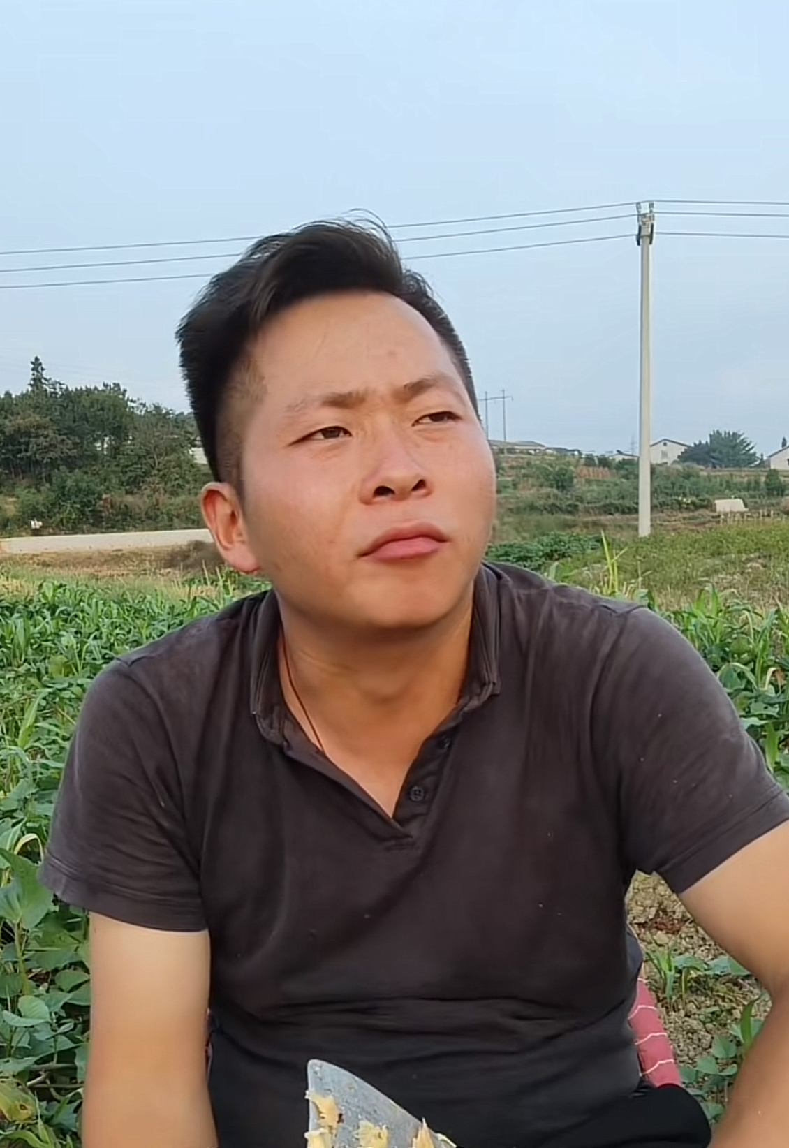 乡村龙太子