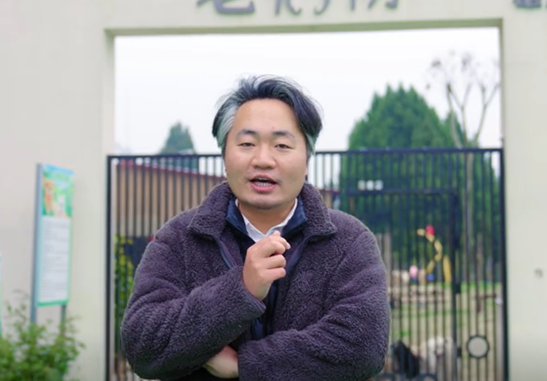 老疯杨