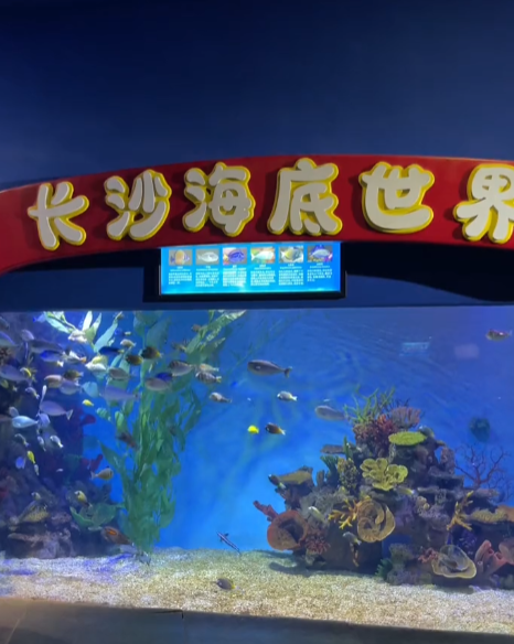 肖哥到处跑图4