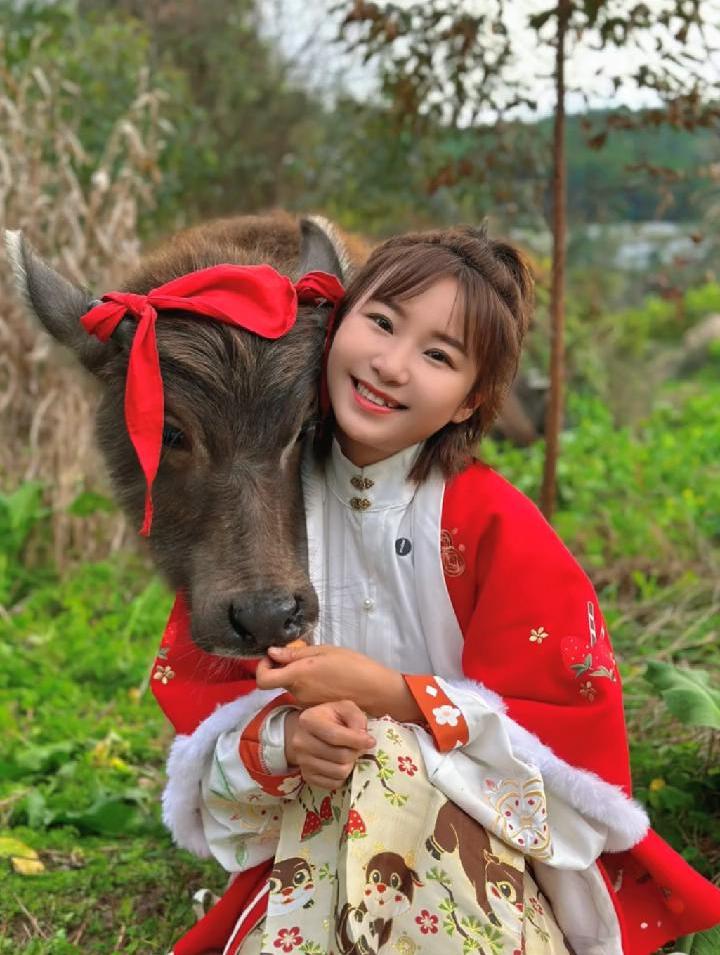 广西放牛妹芯芯