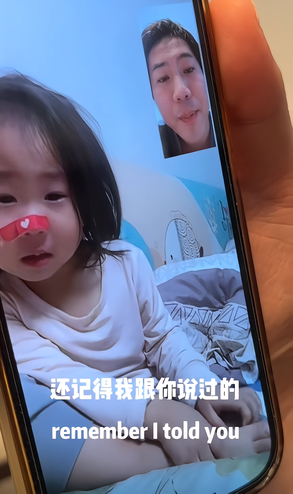 宝力龟龟图6
