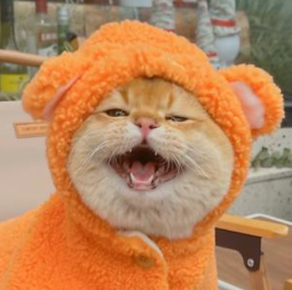 金三柜