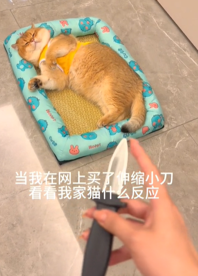 金三柜图4