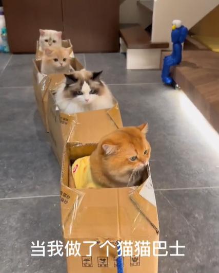金三柜图5