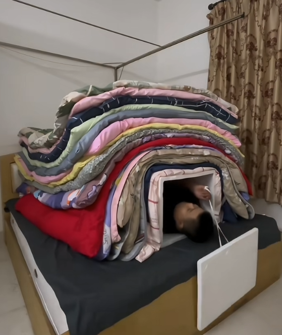 王康图6