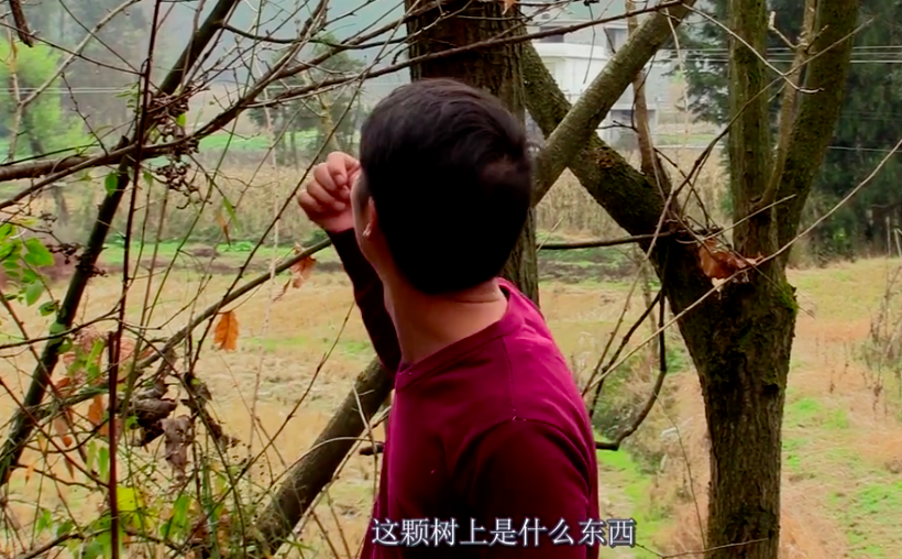 土家小木图5