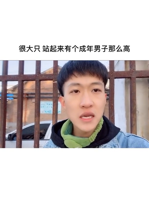 老实人刘阿琛图5