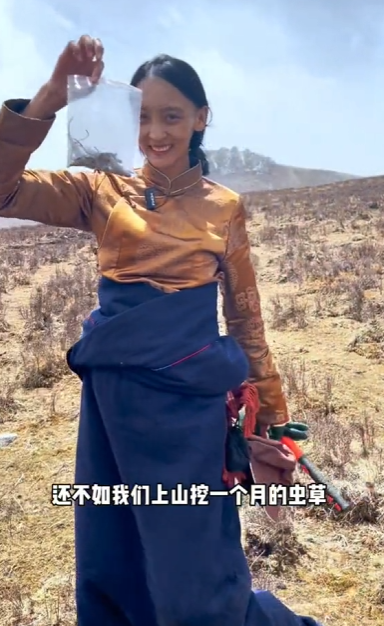 丁珠图2