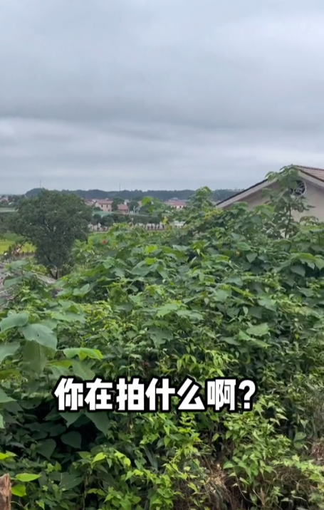 妙哇花和嫩阿哥的哥哥图3