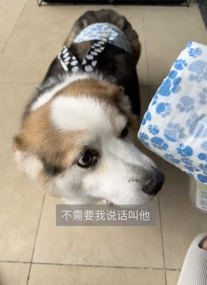 刘美丽一家的日常图3