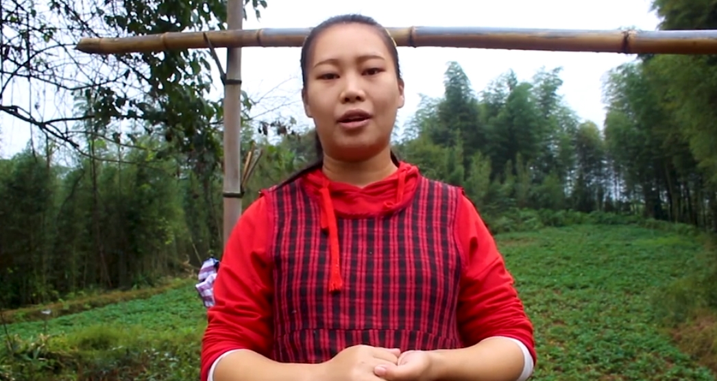洪霞妹儿图3