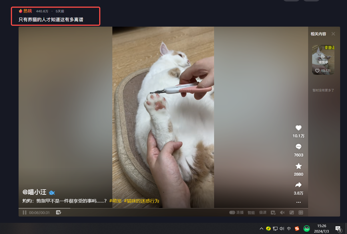 喵小汪图4