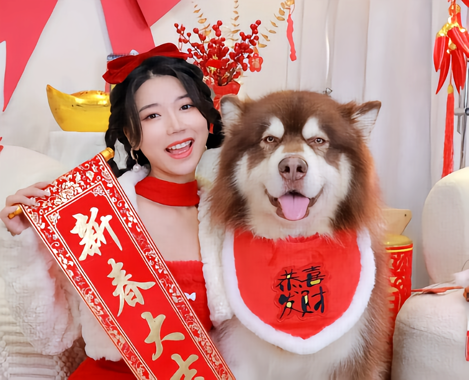 P爷和p麻图2