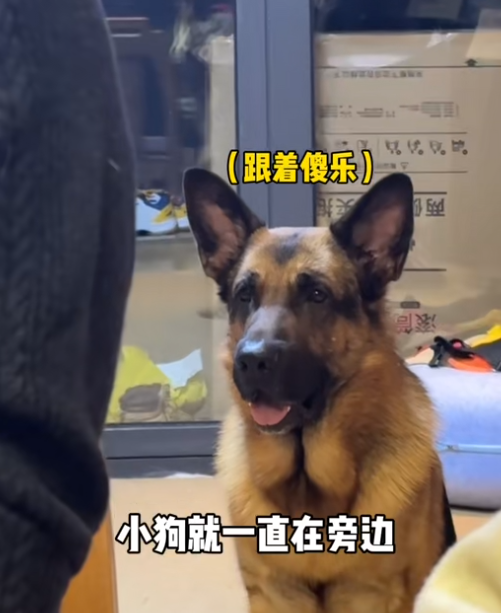 赫兹是也图3