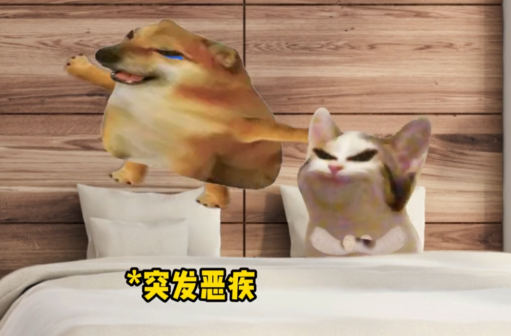 酸辣土狗丝图4